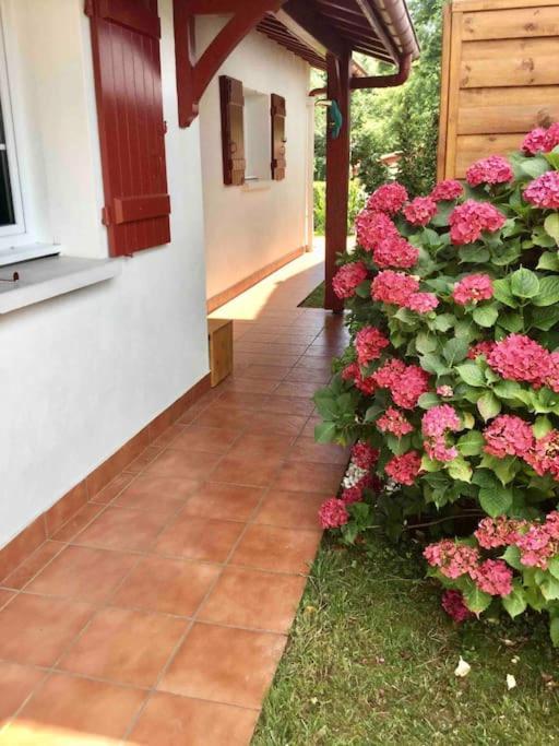1Km Plage, Agreable Maison 6 Pers Classee 3* Hendaye Exteriér fotografie