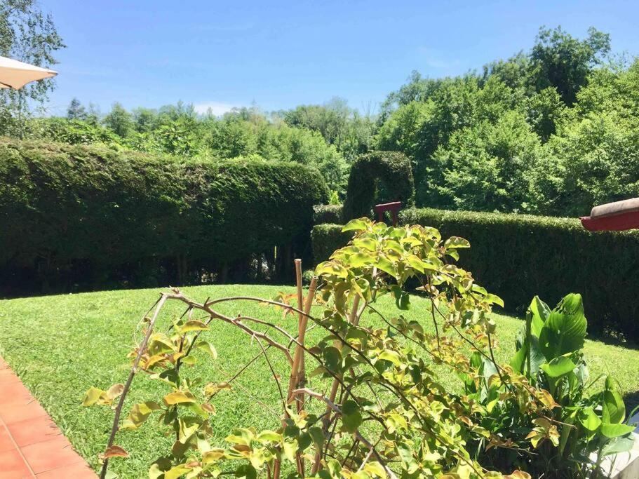 1Km Plage, Agreable Maison 6 Pers Classee 3* Hendaye Exteriér fotografie